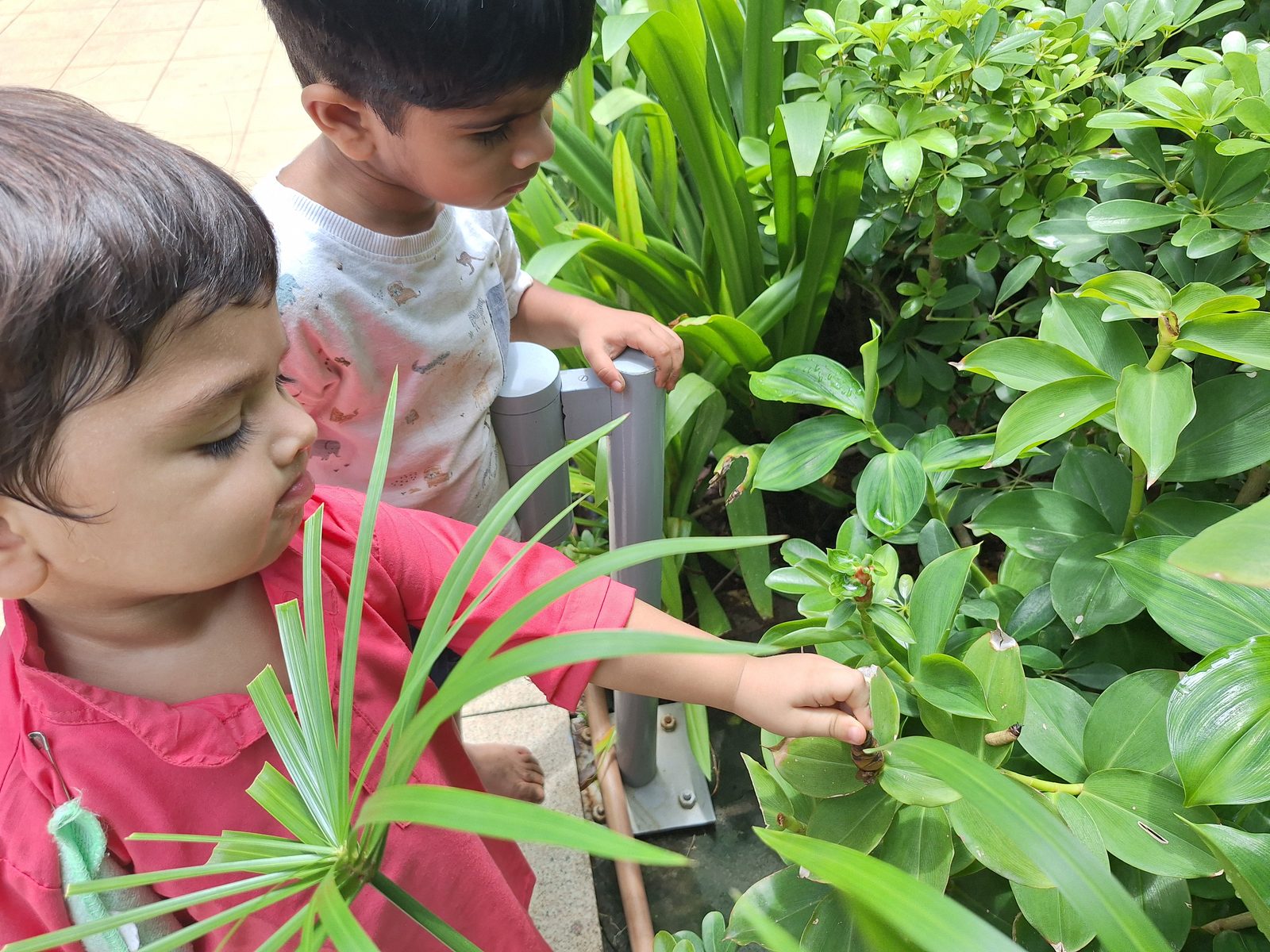 Toddlers examining leaves during outdoor nature exploration